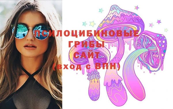 мет Аркадак